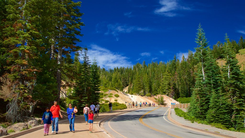 Sulphur Works which includes tranquil scenes as well as a family