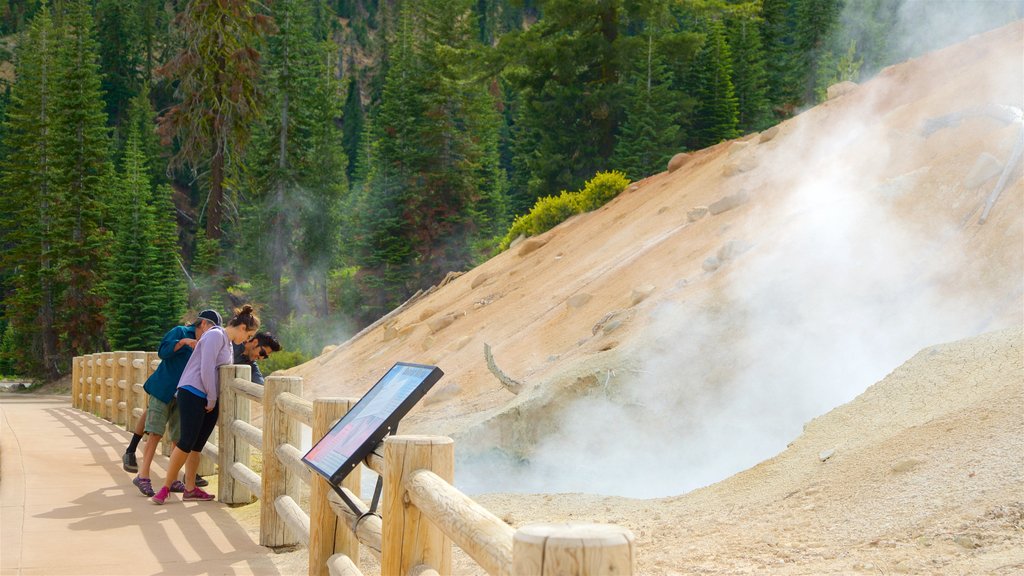 Sulphur Works showing a hot spring and mist or fog as well as a small group of people