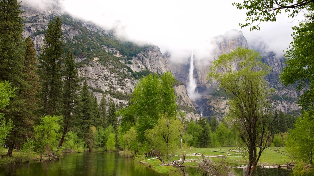 Swinging Bridge Picnic Area featuring mist or fog, a park and a river or creek