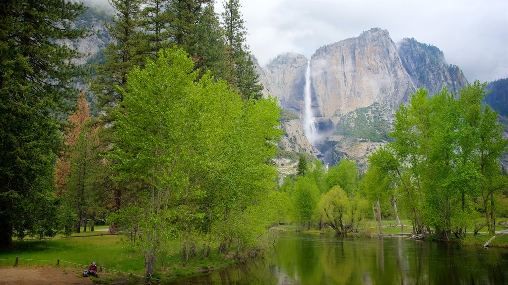 Swinging Bridge Picnic Area showing mountains, a garden and a waterfall