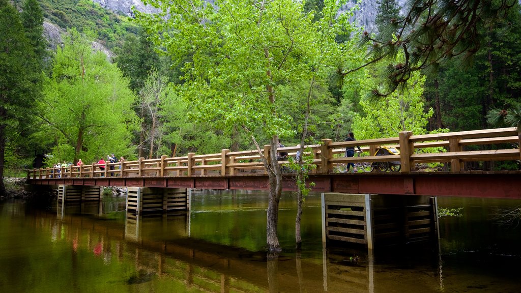 Área de picnic de Swinging Bridge que incluye un puente y un estanque