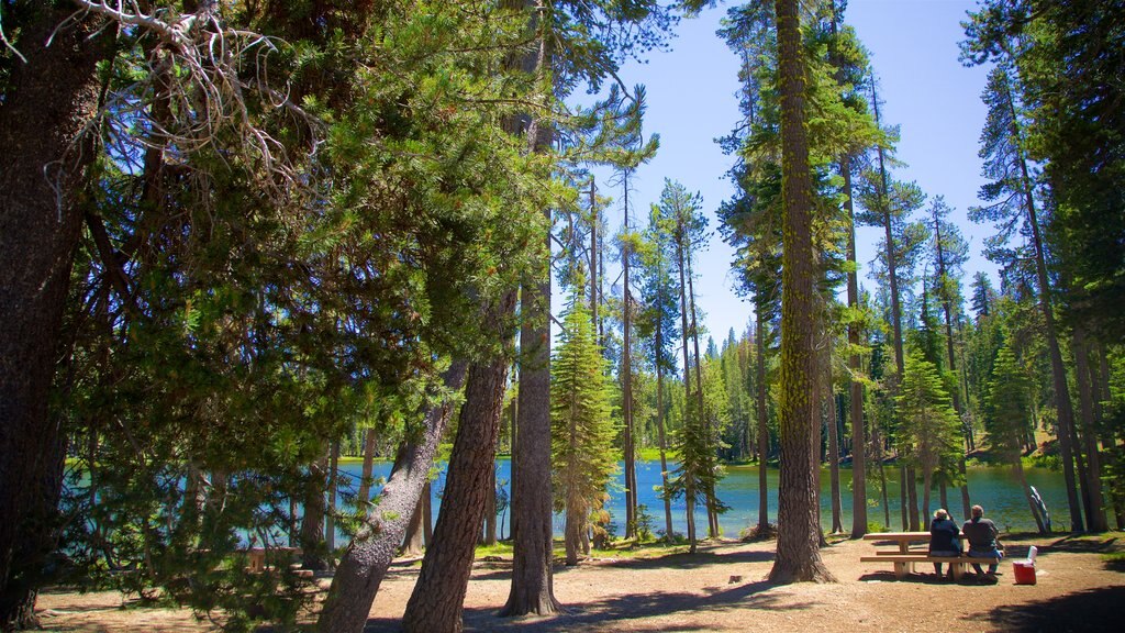 Summit Lake which includes a lake or waterhole, picnicing and a garden