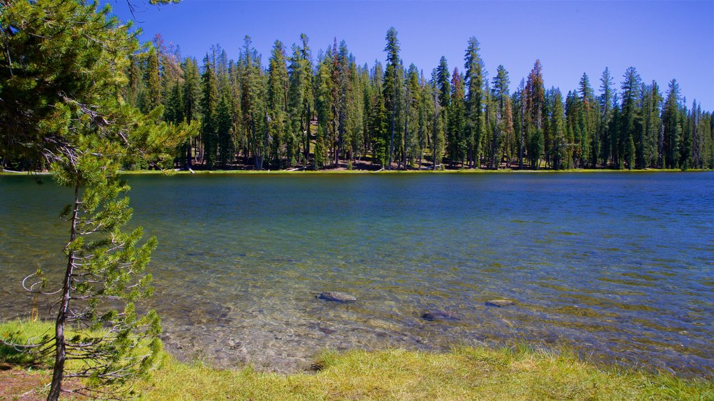 Lago Summit mostrando un lago o espejo de agua