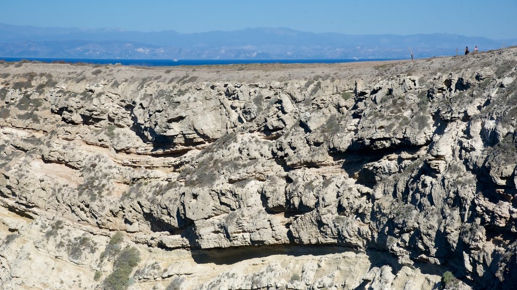 Potato Harbour showing rugged coastline