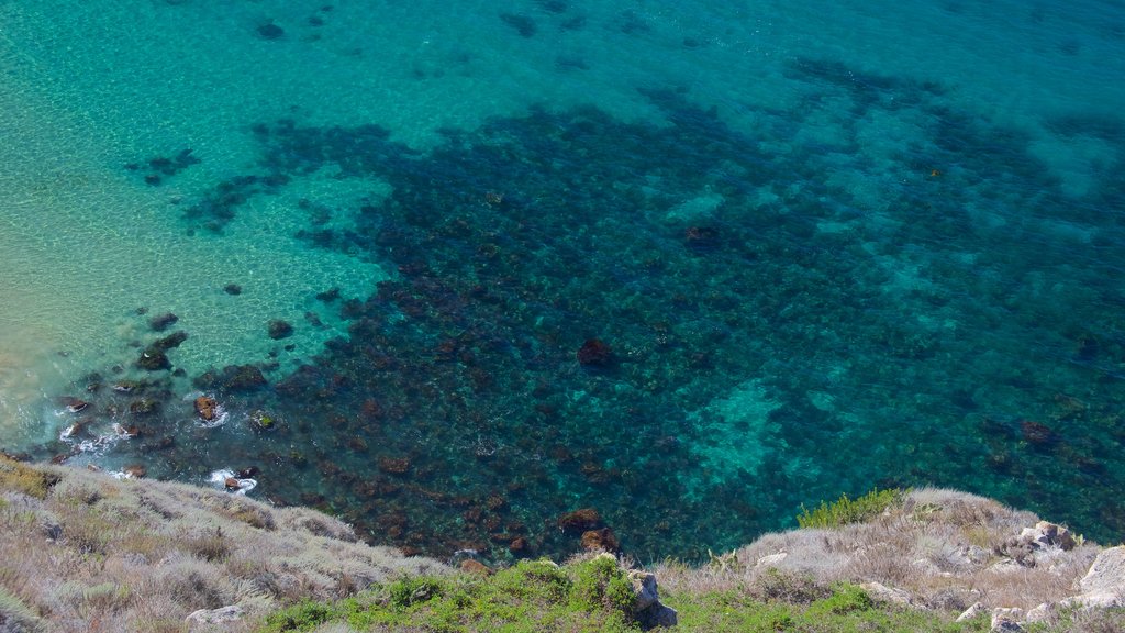 Potato Harbour which includes tropical scenes, rocky coastline and general coastal views