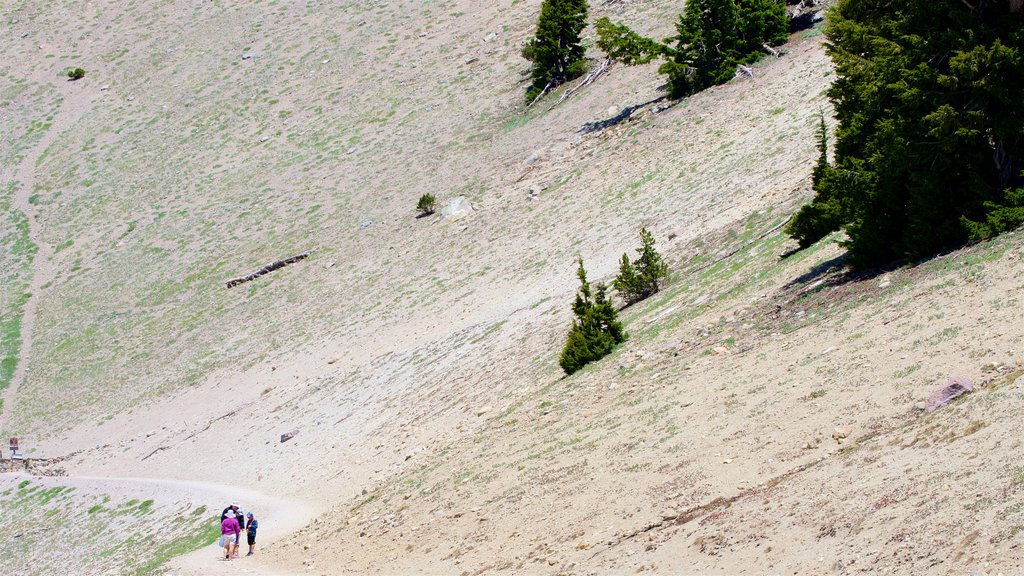 Lassen Peak Trail showing tranquil scenes as well as a small group of people