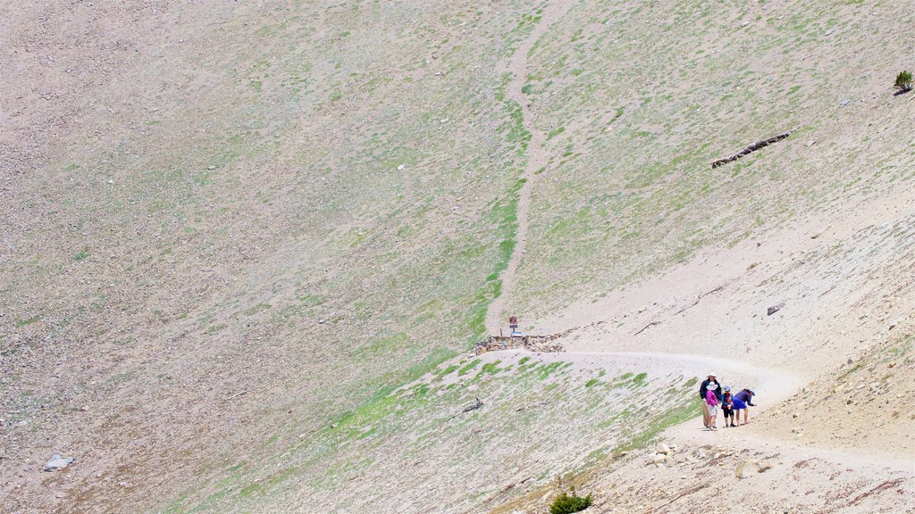 Sendero de Lassen Peak que incluye escenas tranquilas y también un pequeño grupo de personas