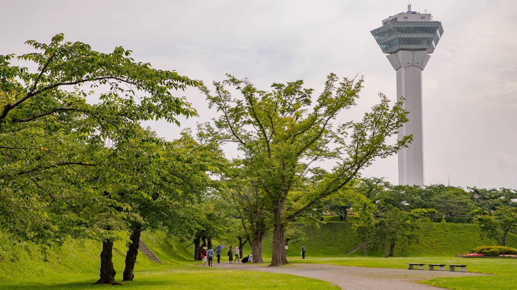 Goryokaku Tower showing a park