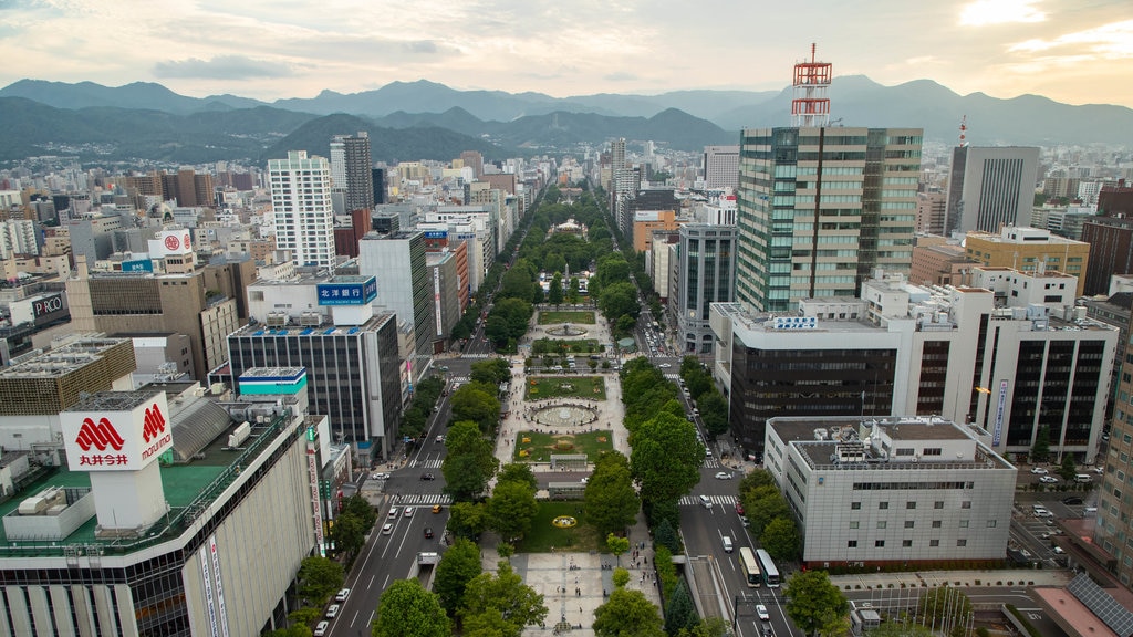 Torre de TV de Sapporo caracterizando uma cidade, um pôr do sol e paisagem