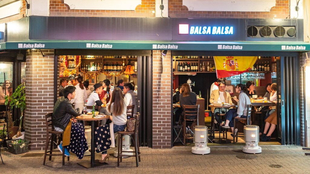 Japón que incluye escenas nocturnas, salir a cenar y vida nocturna