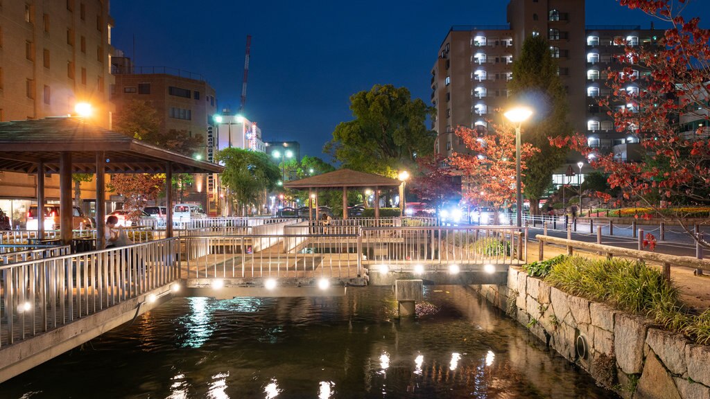 Japão que inclui um rio ou córrego, uma ponte e cenas noturnas