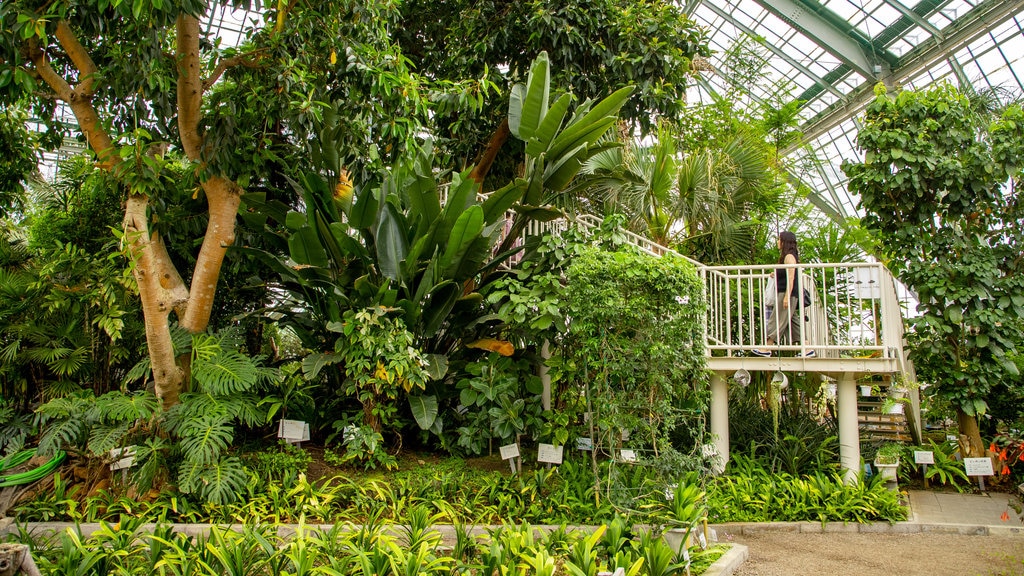 Hakodate Tropical Botanical Garden showing a garden