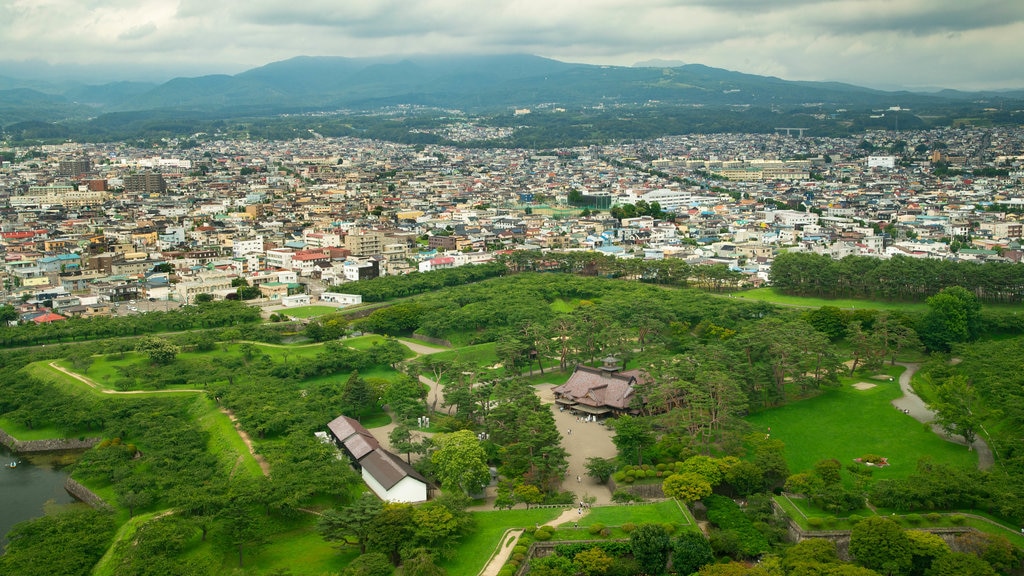 Goryokaku Tower showing tranquil scenes, landscape views and a city