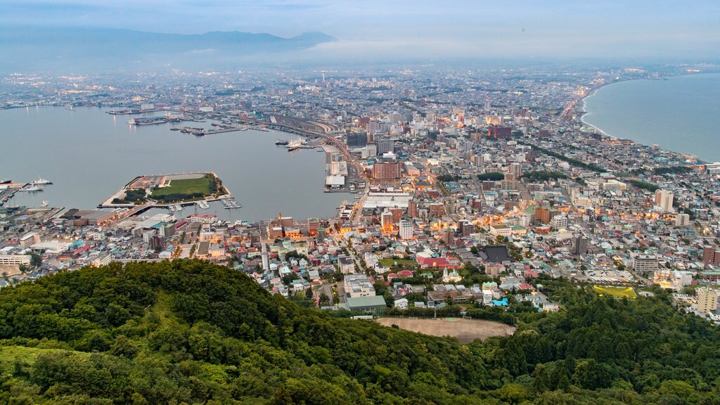 Hakodate Ropeway which includes landscape views and a coastal town