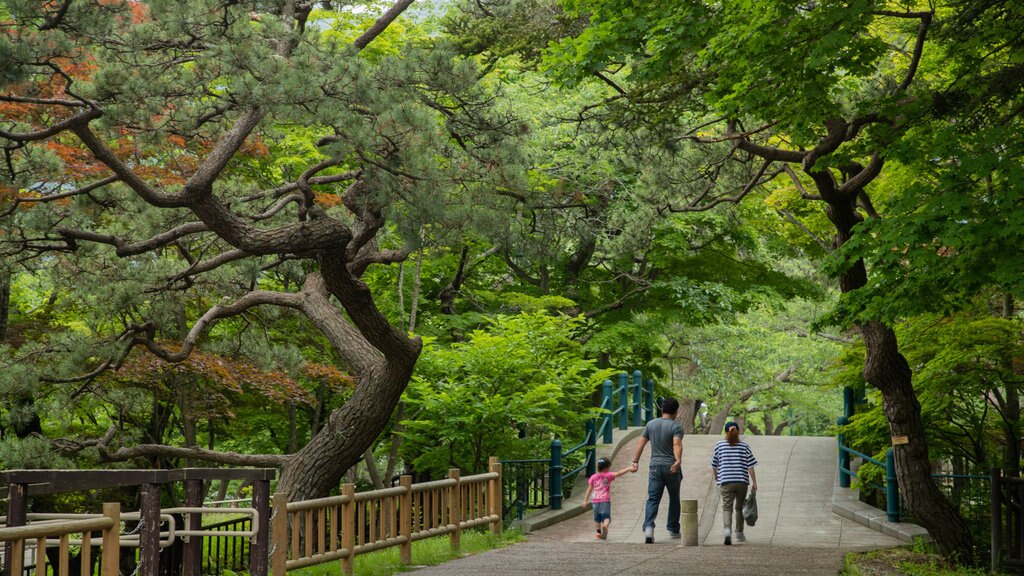 Parque de Hakodate que incluye un parque