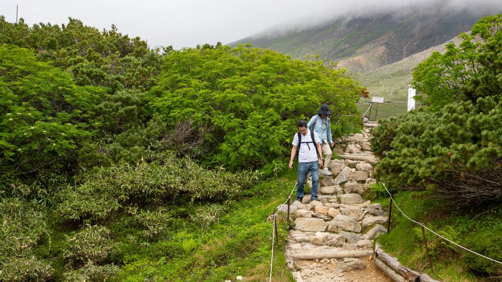 Parque Nacional de Daisetsuzan mostrando escalada ou caminhada e cenas tranquilas assim como um casal