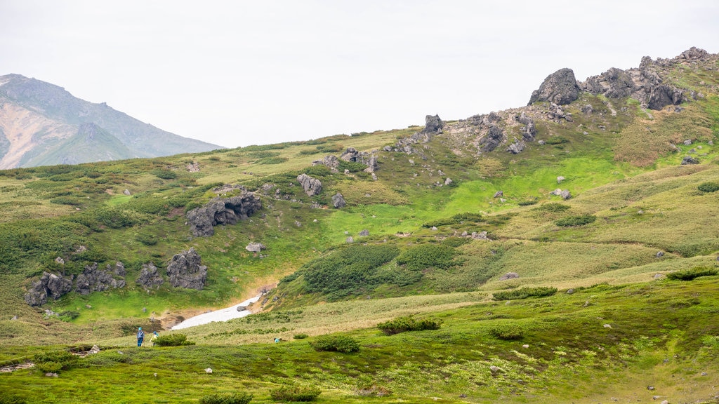 Parque Nacional de Daisetsuzan mostrando paisagem e cenas tranquilas