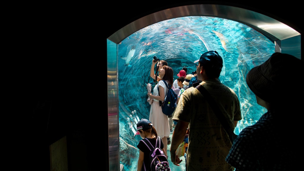 Zoo de Asahiyama ofreciendo vistas interiores y vida marina y también un pequeño grupo de personas