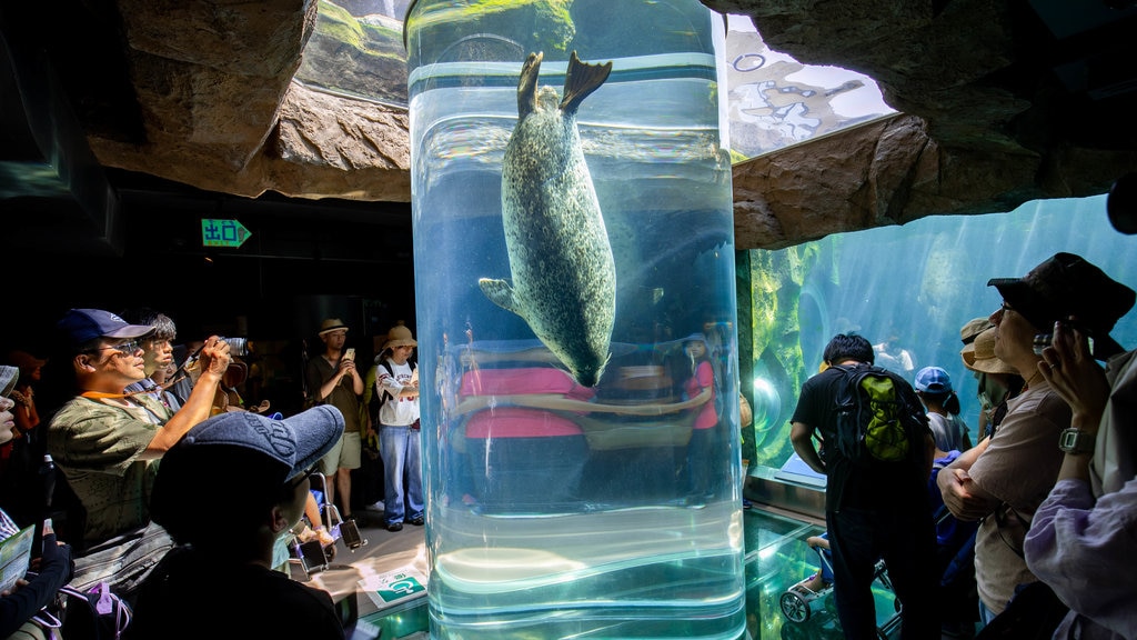 Zoo de Asahiyama mostrando vida marina y vistas interiores y también un pequeño grupo de personas