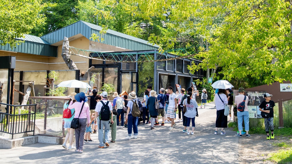 Asahiyama Zoo featuring zoo animals as well as a large group of people