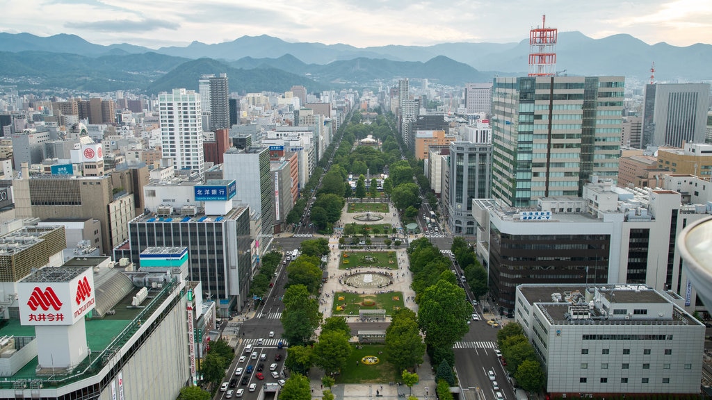 Sapporo TV Tower showing a city and landscape views