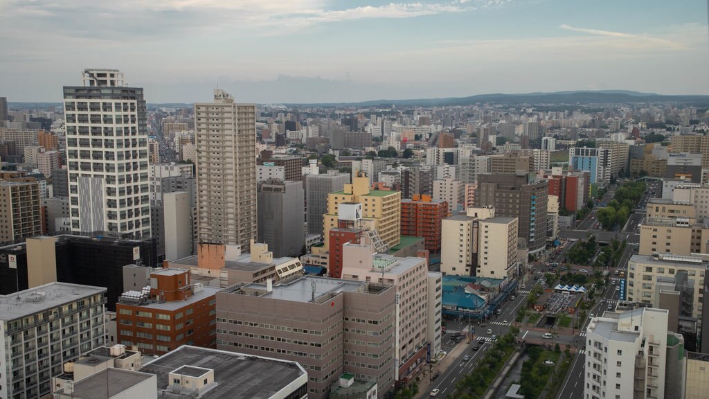 Sapporo TV Tower showing landscape views and a city