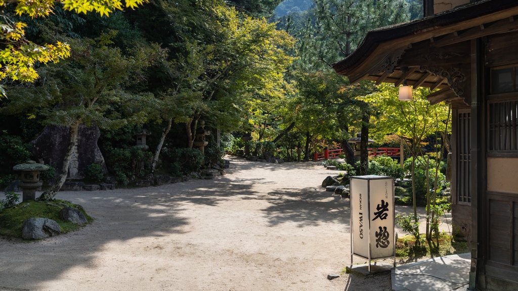 Momijidani Park featuring a garden