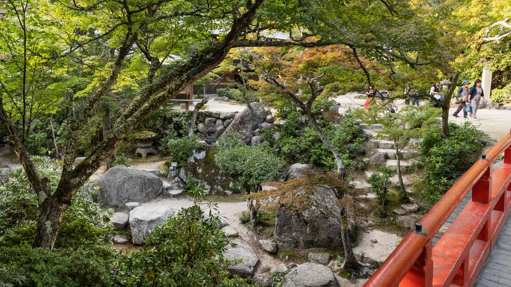 Momijidani Park featuring a garden