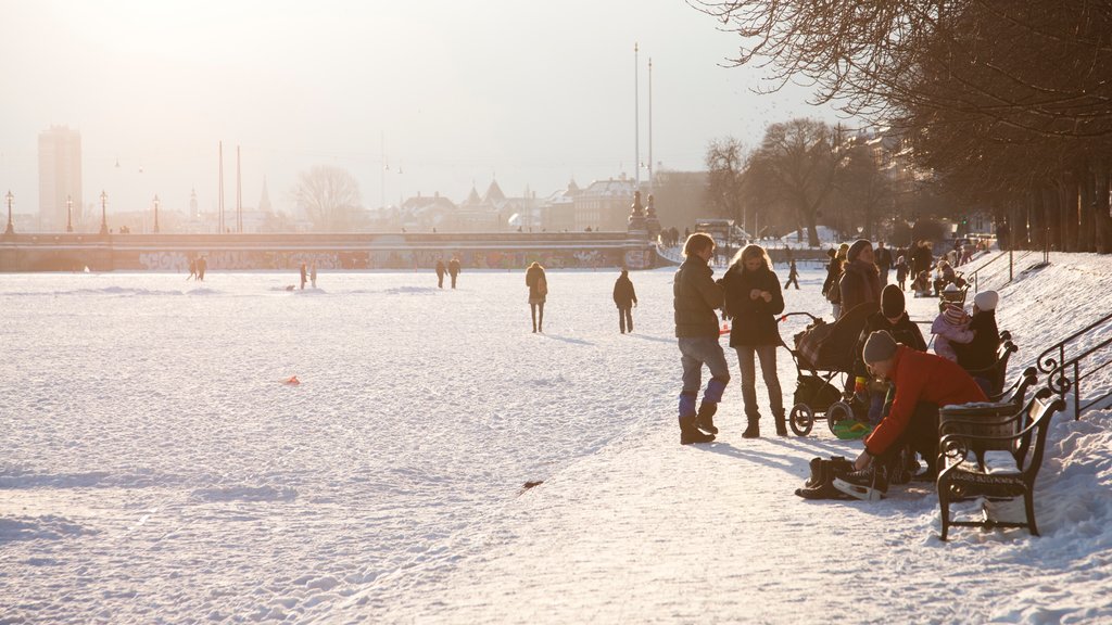 Kopenhagen toont een plein, sneeuw en een stad