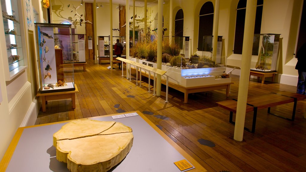 Tasmanian Museum and Art Gallery featuring interior views