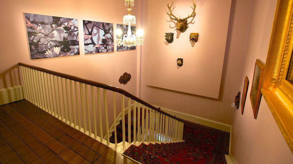 Tasmanian Museum and Art Gallery showing interior views and art