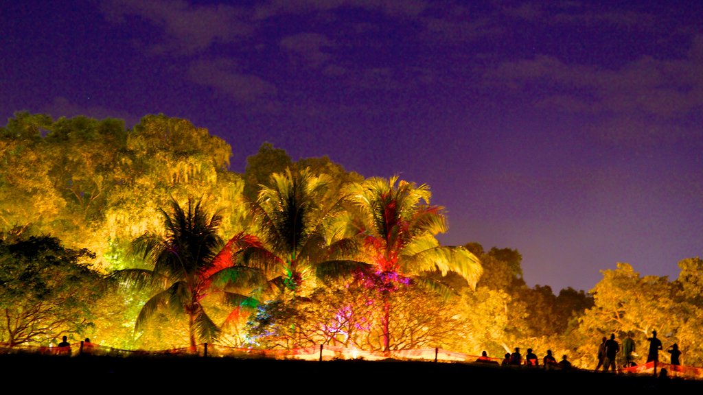 Mindil Beach which includes tropical scenes and night scenes