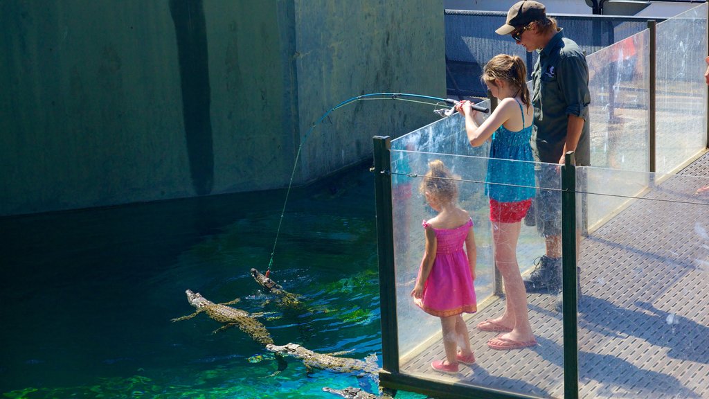 Crocosaurus Cove que incluye animales de zoológico, animales peligrosos y pesca