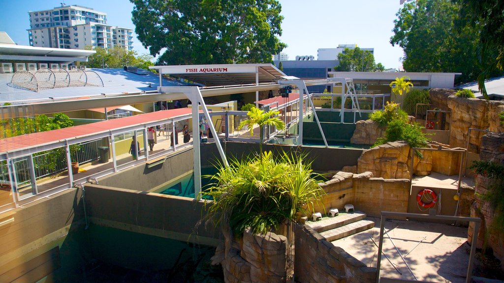 Crocosaurus Cove featuring marine life and zoo animals