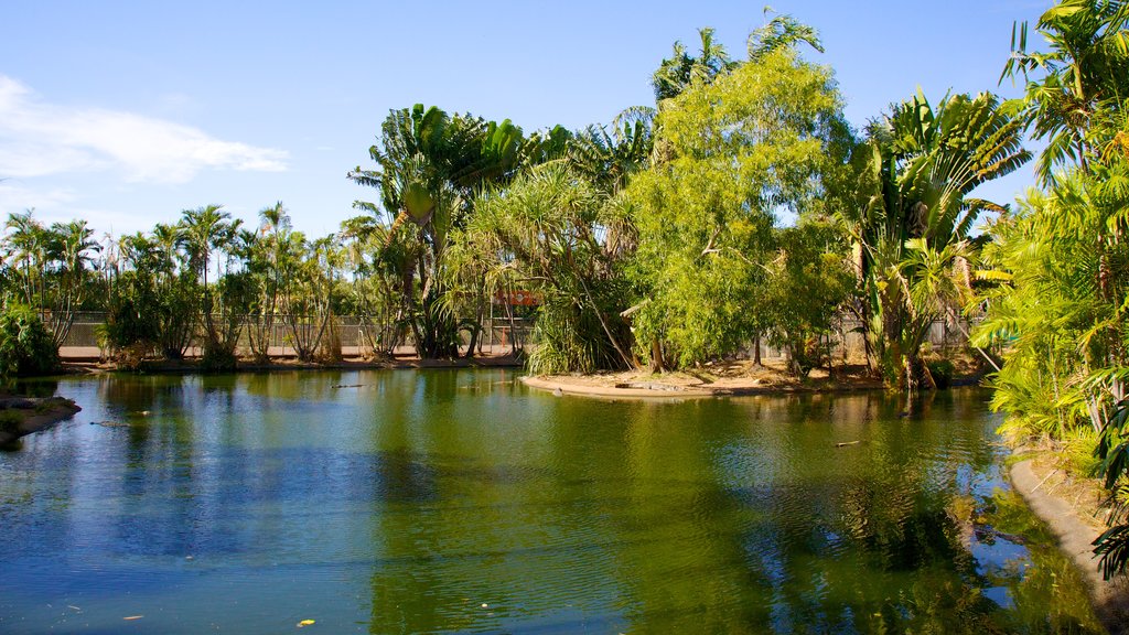 Crocodylus Park showing a pond