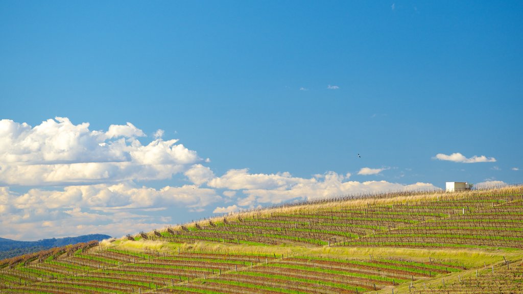 New South Wales toont landschappen en akkerland