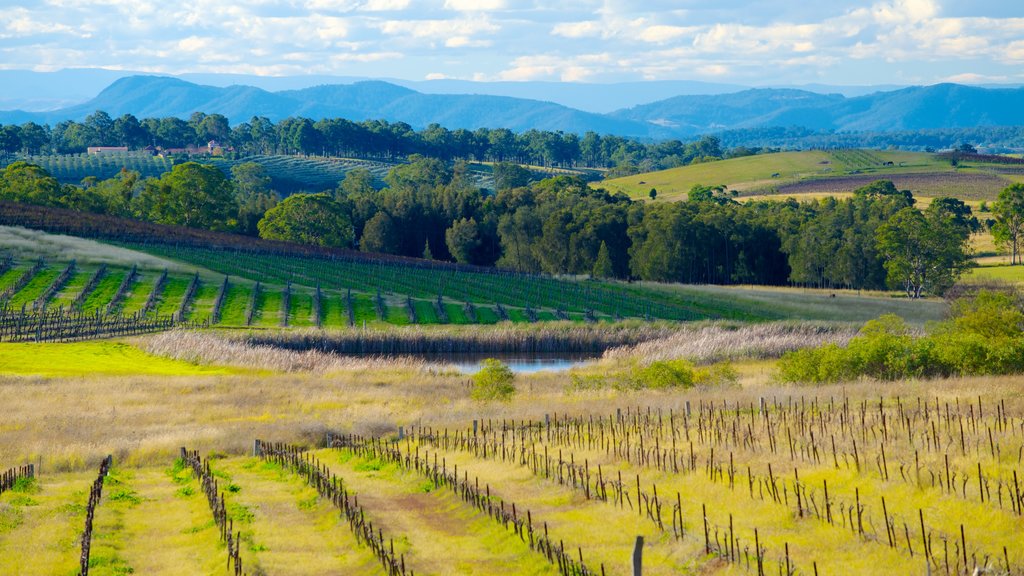 New South Wales inclusief akkerland en landschappen