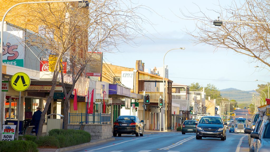 Hunter Valley mostrando cenas de rua e uma cidade