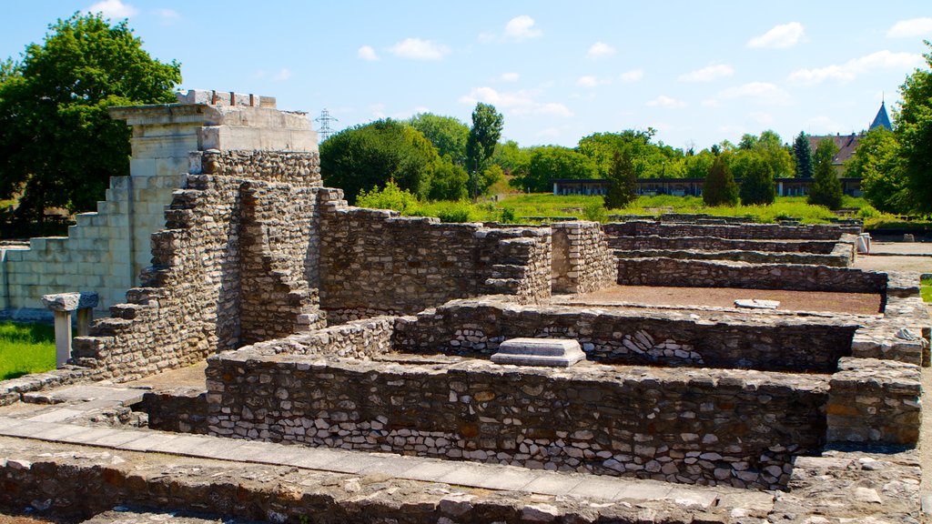 Museo y jardín de ruinas Aquincum ofreciendo una ruina