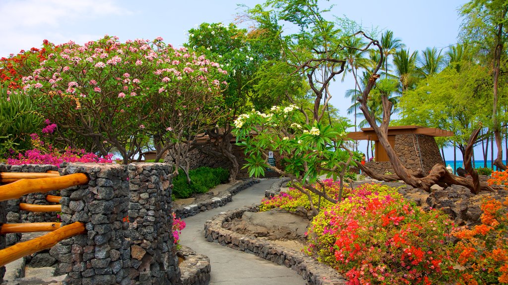 Hawai ofreciendo flores, un parque y escenas tropicales