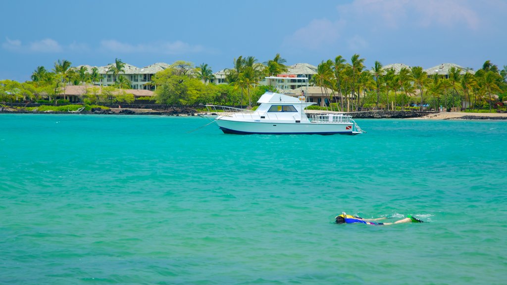 Hawai mostrando botes, una ciudad costera y escenas tropicales