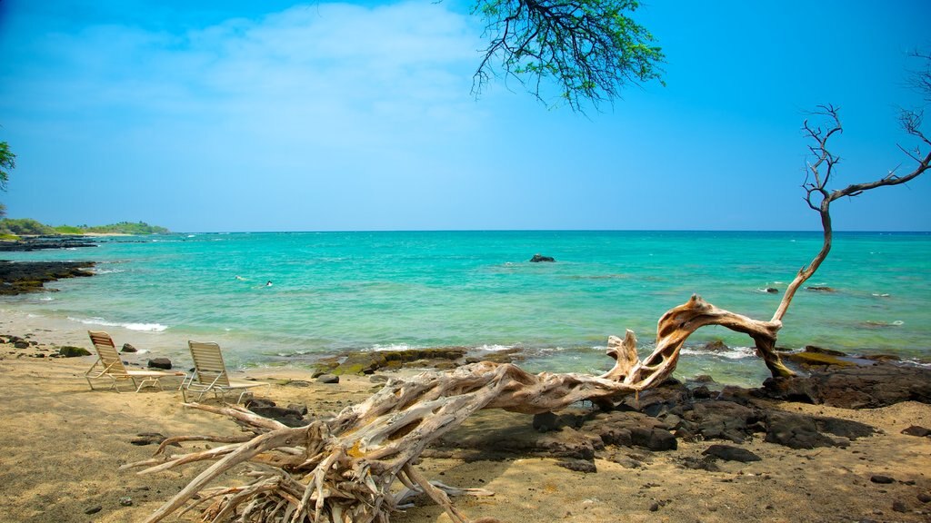 Havaí que inclui uma praia de areia, cenas tropicais e paisagem