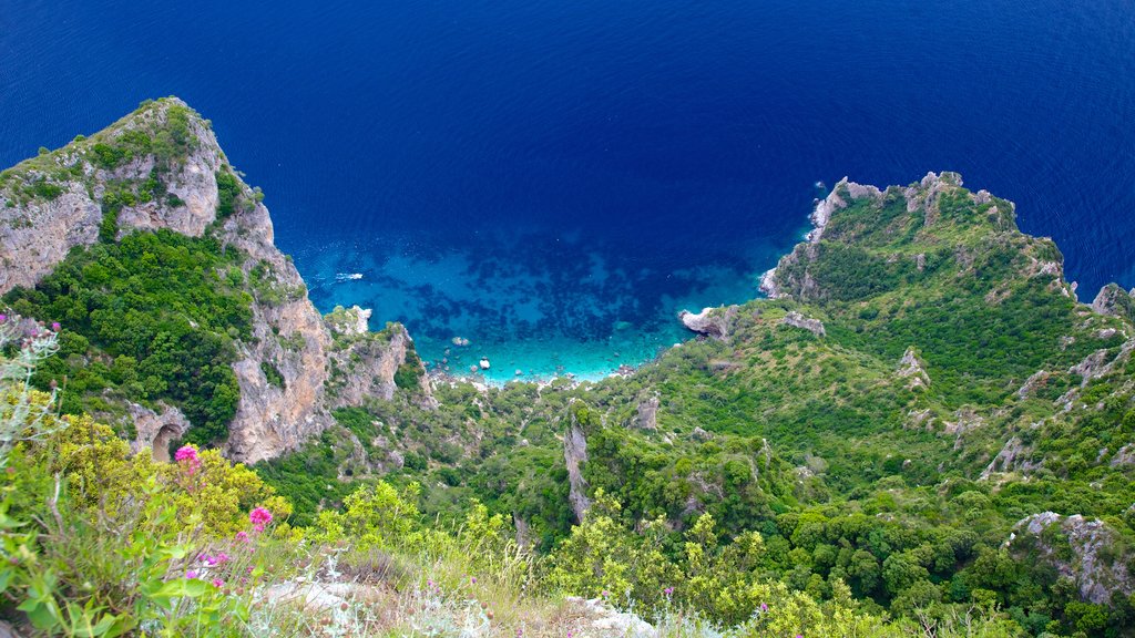 Mount Solaro which includes general coastal views, landscape views and mountains