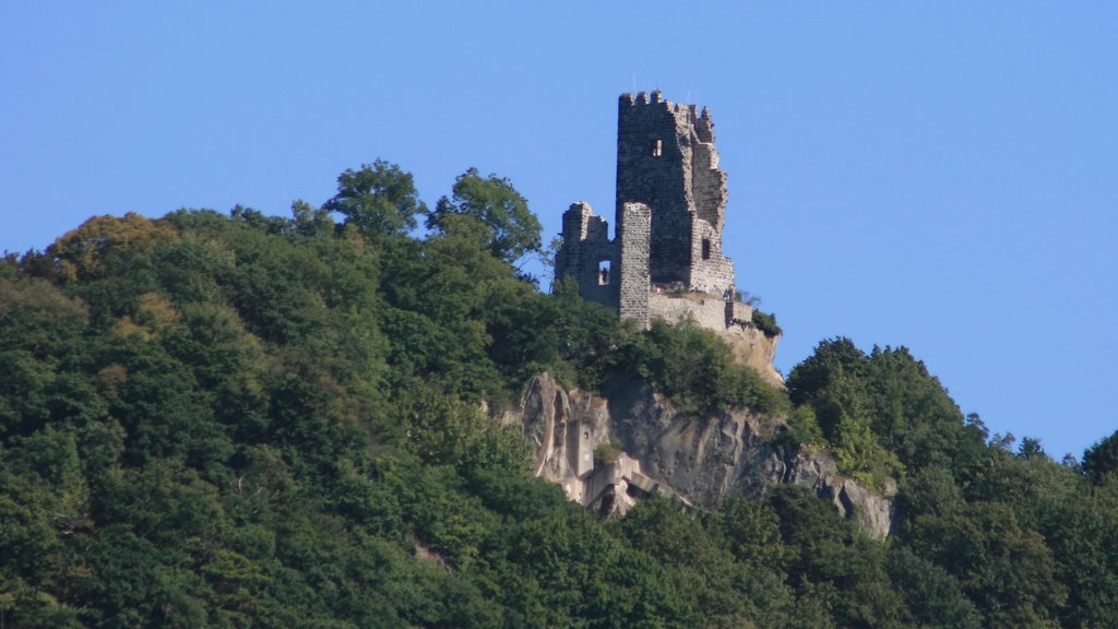 Koenigswinter caracterizando um pequeno castelo ou palácio e cenas de floresta