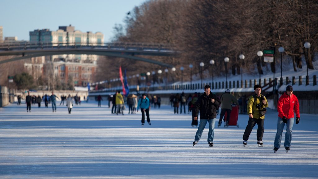 Rideau Canal ofreciendo patinaje sobre hielo y también un gran grupo de personas