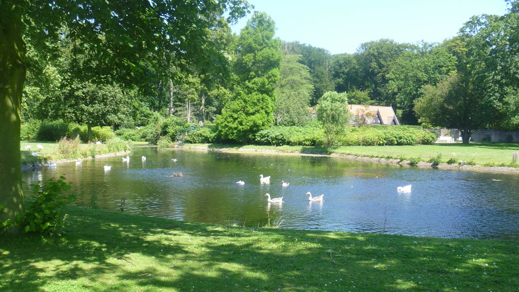 Park Clingendael showing a garden and a pond