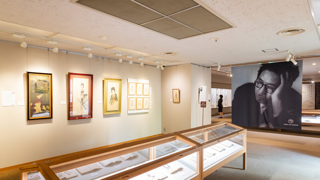 Museu de Arte de Yumeji mostrando elementos de patrimônio, arte e vistas internas