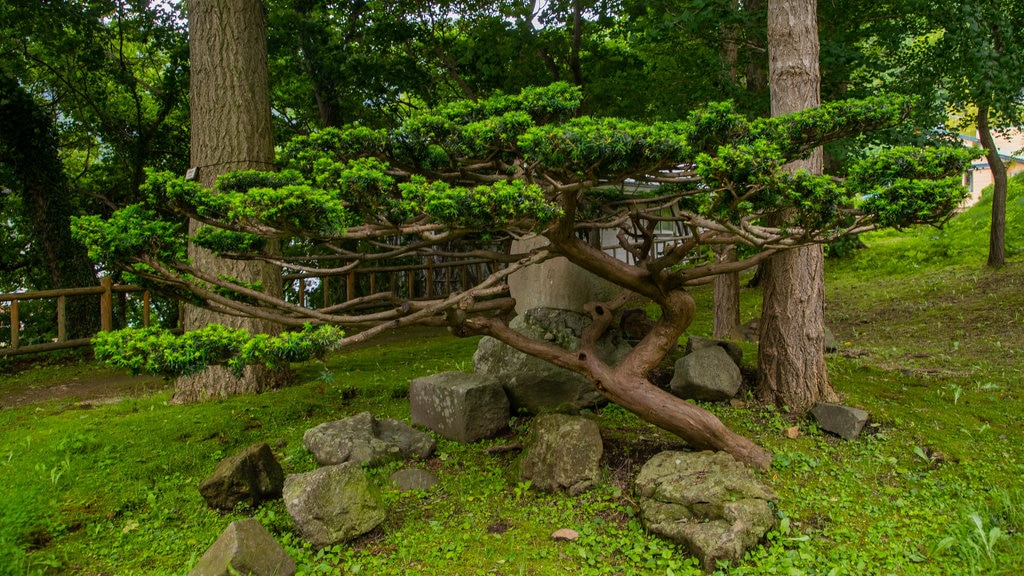 Hakodate Park featuring a garden