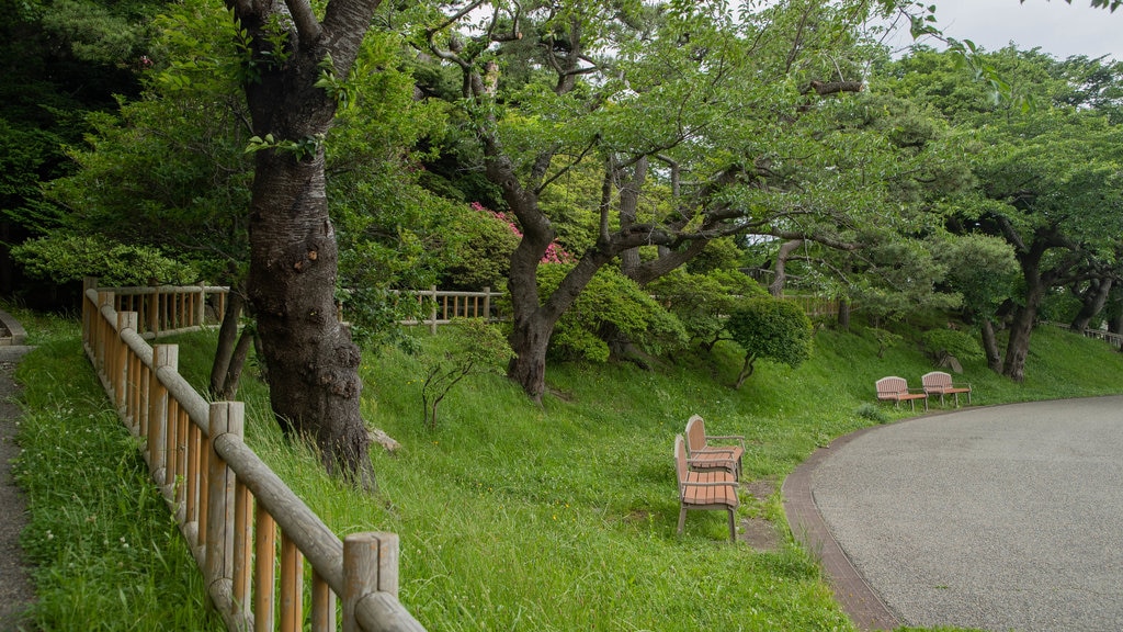 Parque de Hakodate mostrando jardín