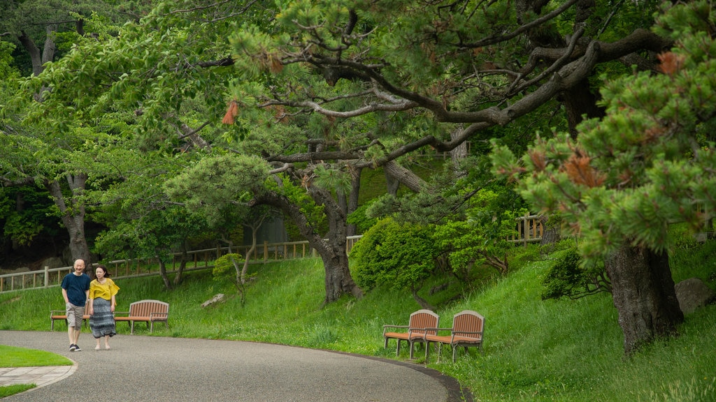 Parque de Hakodate ofreciendo jardín y también una pareja